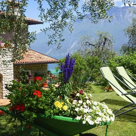 Casa Tamas, Limone